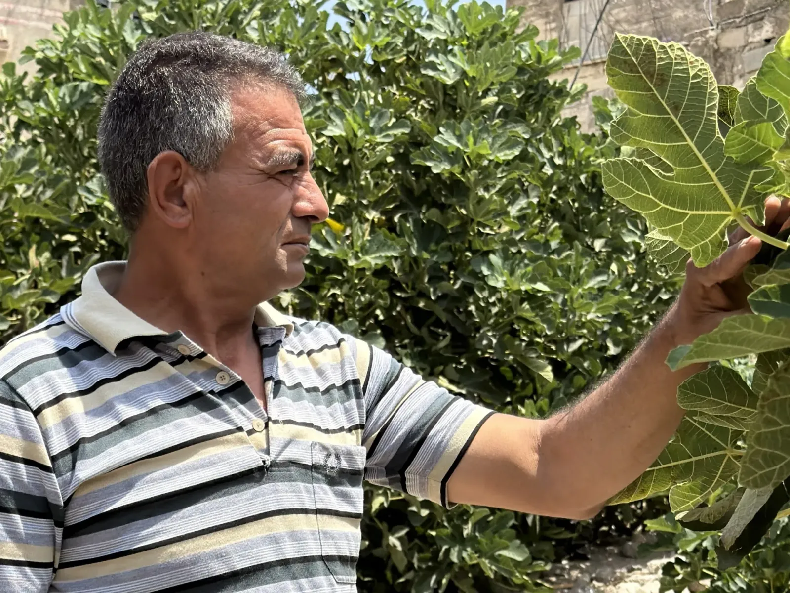 شاهد.. فلسطيني يُمنع من دخول أرضه ومستوطنون يستبيحونها